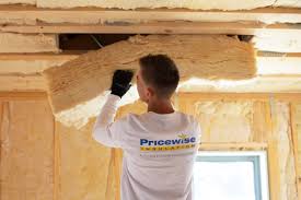 Best Insulation Removal  in USA